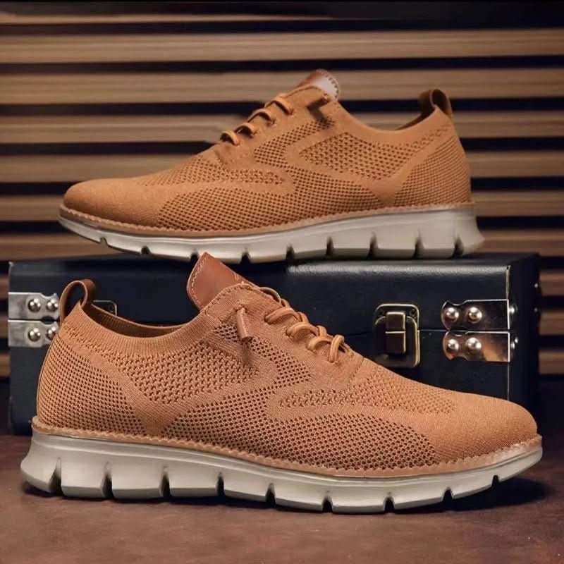 H.D Ventura Trainers · Oliver Bradley